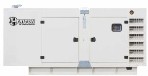 200 kW Triton Diesel Generator TP-D200-T1 International Use