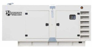 300 kW Triton Diesel Generator TP-D300-T1 International Use