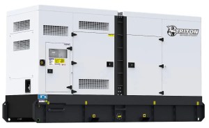 310 kW Triton Diesel Generator TP-P310-T1 International Use
