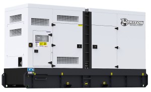 810 kVA Triton Diesel Generator TP-C800-T1-S-50 International Use