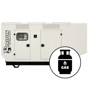 Natural Gas & LP Generators